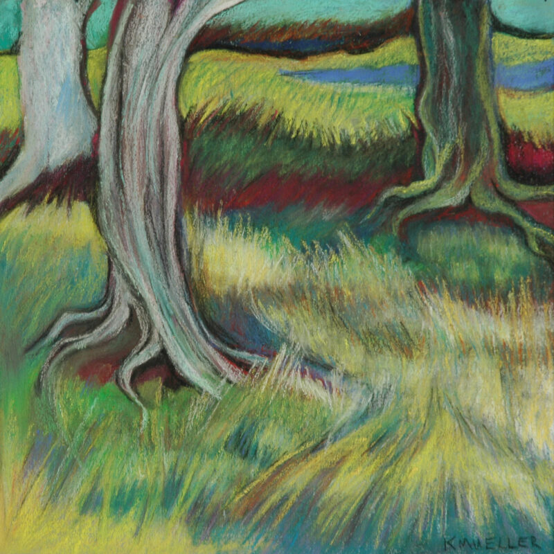 Trees at No Hawkers, 12 by 12, pastel on paper, print only