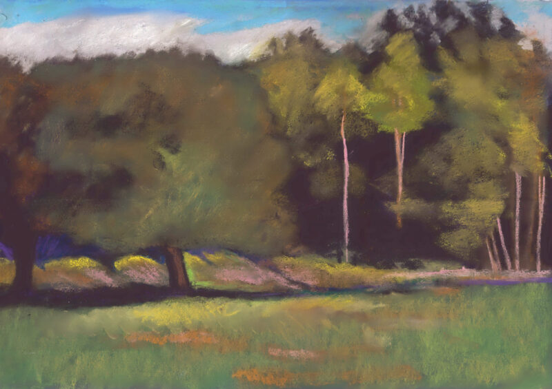 Marty and Cookie's land, Grindstone, 18.5 by 13, pastel on paper